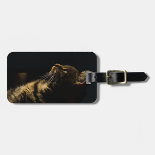 Etiqueta De Bagagem gato de perfil