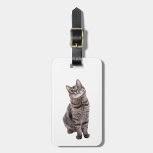 Etiqueta De Bagagem Gato de Tabby