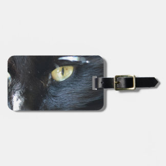 Etiqueta De Bagagem Gato que Eyeing o