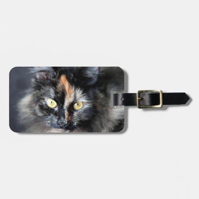Etiqueta De Bagagem Gato Siberiano (Frente Horizontal)
