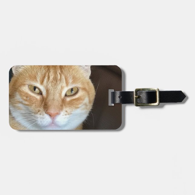 Etiqueta De Bagagem Gato tabby laranja (Frente Horizontal)