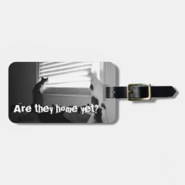 Etiqueta De Bagagem Gatos - Abbie & Mo que olham para fora o Tag do