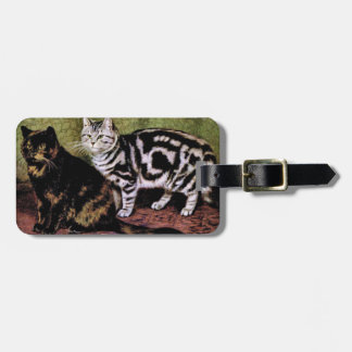 Etiqueta De Bagagem Gatos de Tortoisinfere e Silver Tabby