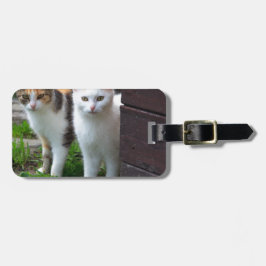 Etiqueta De Bagagem Gatos fora brincando