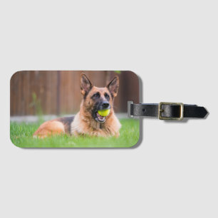 Etiqueta De Bagagem German shepherd Com Bola De Tênis