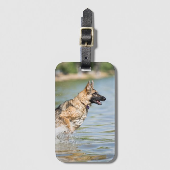 Etiqueta De Bagagem German shepherd Salta Em Água (Frente Vertical)