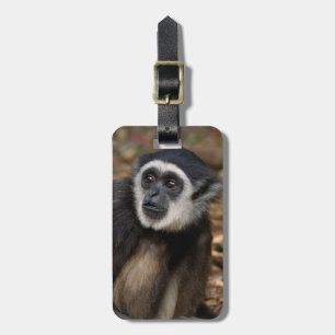 Etiqueta De Bagagem Gibão-de-mãos-brancas (Hylobates Lar), Monkeyland