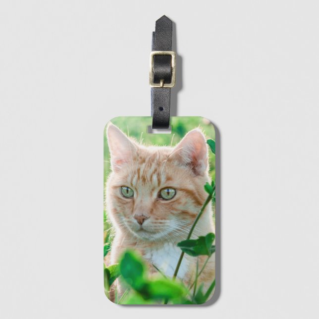 Etiqueta De Bagagem Ginger Cat com olhos verdes na grama (Frente Vertical)