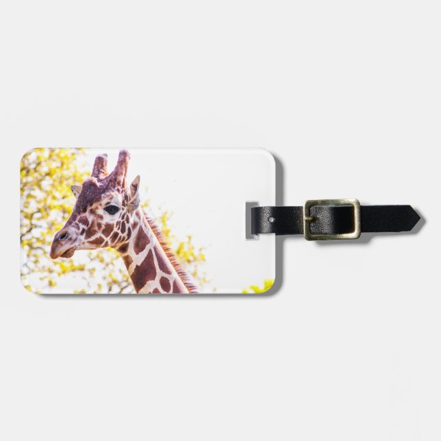 Etiqueta De Bagagem Giraffe Portrait (Frente Horizontal)
