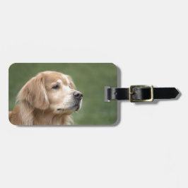 Etiqueta De Bagagem Golden retriever no close up