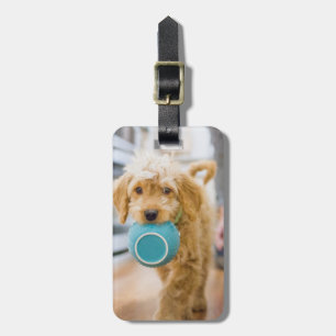 Etiqueta De Bagagem Goldendoodle Carregando Jantar Bowl