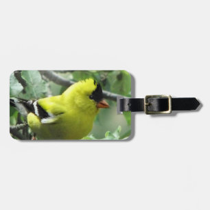 Etiqueta de Bagagem Goldfinch