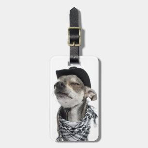 Etiqueta De Bagagem Grande ângulo de uma chihuahua com seu eyes