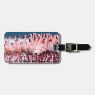 Etiqueta De Bagagem Grande Grupo De Flamingos Menores