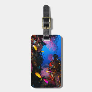 Etiqueta De Bagagem Grande Tag da bagagem do recife de coral