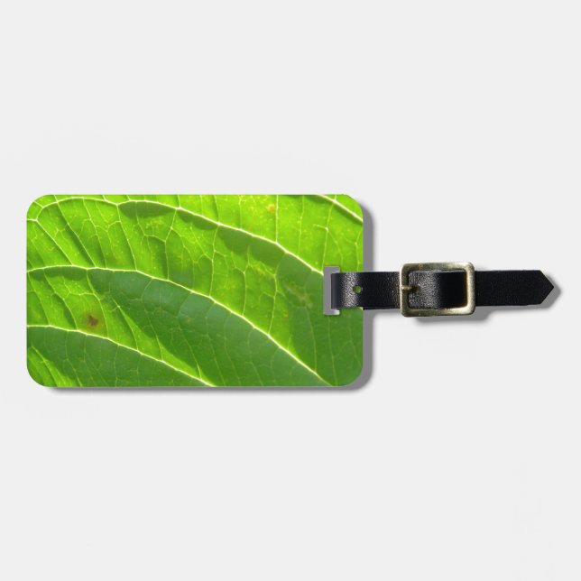 Etiqueta De Bagagem Grünes Blatt, hübsche Blattrippen (Frente Horizontal)