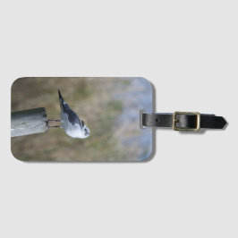 Etiqueta De Bagagem Gull no Posto