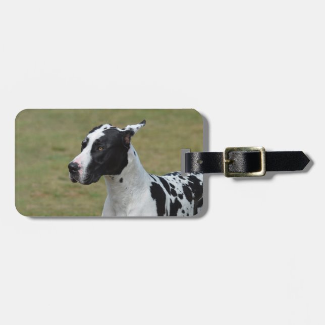 Etiqueta De Bagagem Harlequin great dane (Frente Horizontal)