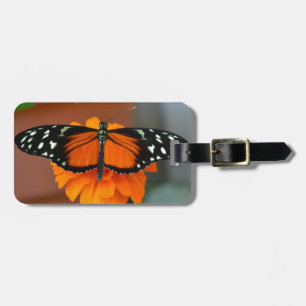 Etiqueta De Bagagem Hecale Longwing Butterfly