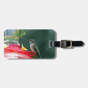 Etiqueta De Bagagem Hummingbird