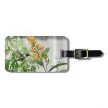 Hummingbird Trocado por Ruby, Personalizado