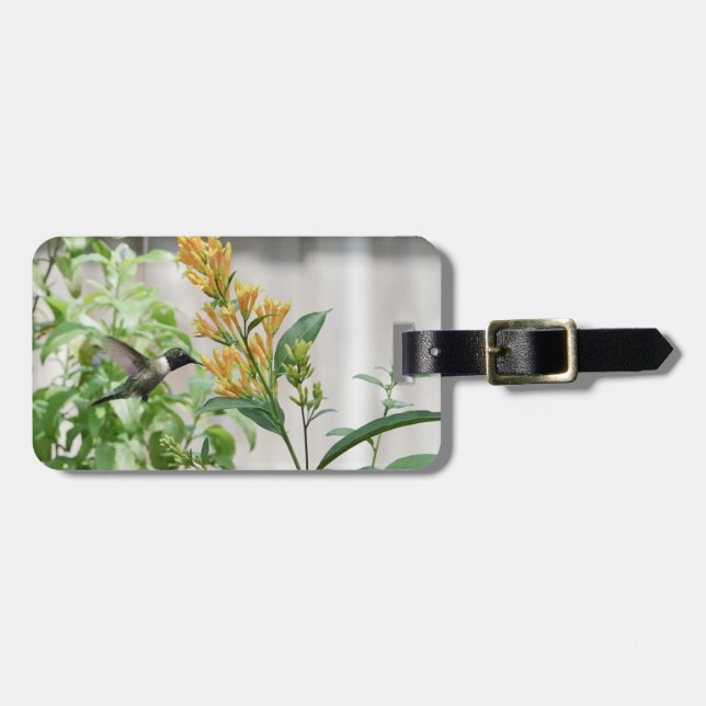 Etiqueta De Bagagem Hummingbird Trocado por Ruby, Personalizado (Frente Horizontal)