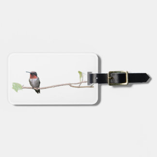 Etiqueta De Bagagem Hummingbird Trocado por Ruby, Personalizado