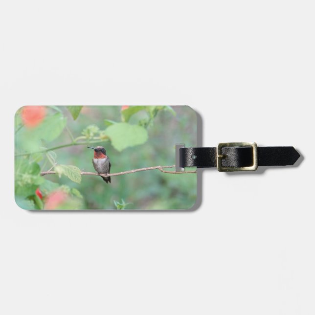 Etiqueta De Bagagem Hummingbird Trocado por Ruby, Personalizado (Frente Horizontal)