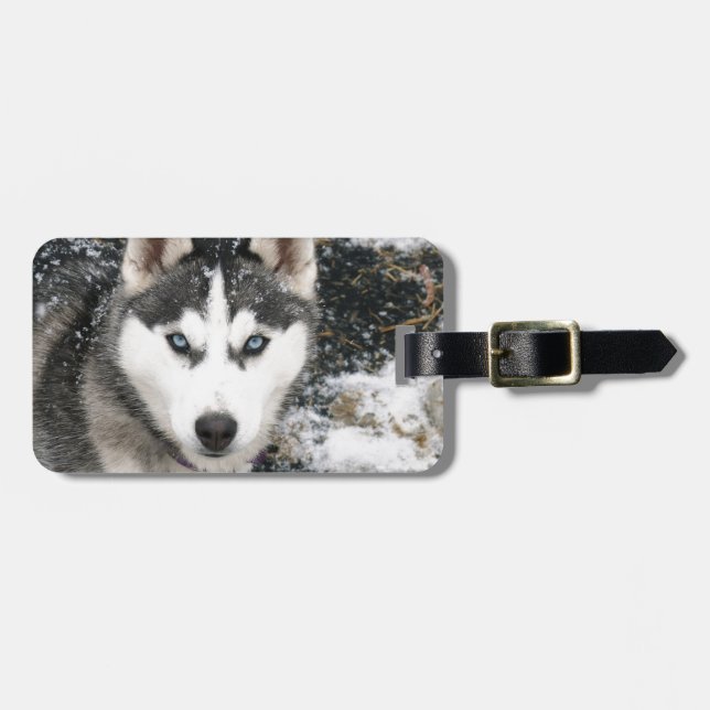 Etiqueta De Bagagem Husky dog (Frente Horizontal)