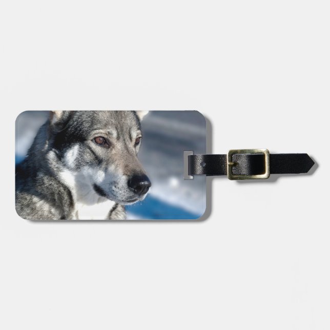 Etiqueta de bagagem Husky na neve (Frente Horizontal)