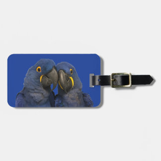 Etiqueta De Bagagem Hyacinth Macaw Parrot Bird Rare Blue