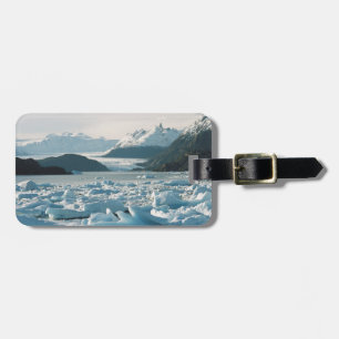 Etiqueta De Bagagem Icebergs Glaciais