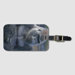 Etiqueta De Bagagem Iconic Silverback Oumbi