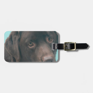 Etiqueta De Bagagem Identificador de Bagagem Cachorro Lab Chocolate