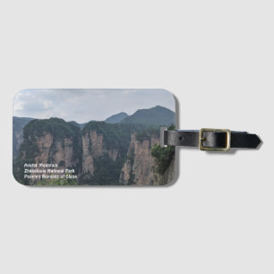 Etiqueta De Bagagem Identificador de Bagagem da Montanha Avatar