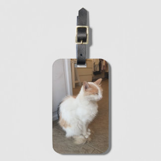 Etiqueta De Bagagem Identificador de Bagagem de Gato