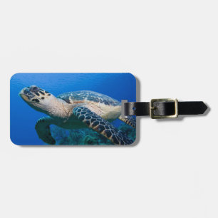 Etiqueta De Bagagem Ilhas Cayman, Little Cayman Island, Subaquático 2