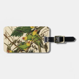 Etiqueta De Bagagem Ilustração de Ave de Papagaio da Carolina de Audub