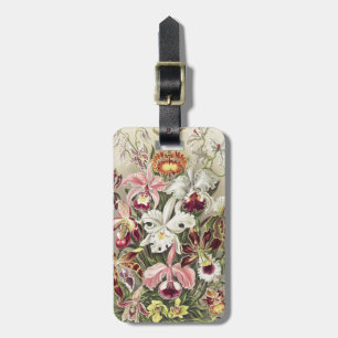 Etiqueta De Bagagem Impressão Botânica Vintage de Orquídea de Ernst Ha
