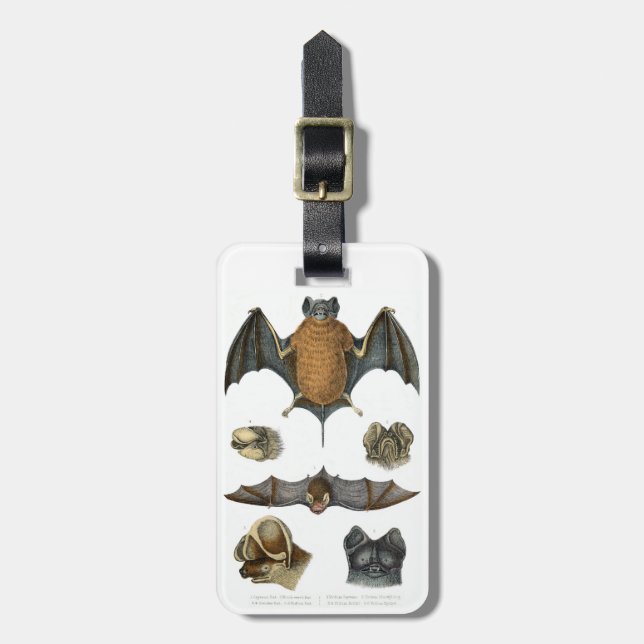 Etiqueta De Bagagem impressão de Bat 19th C (Frente Vertical)