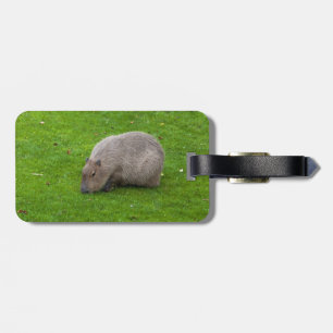 Etiqueta De Bagagem Incrível Capivara Animal