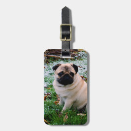 Etiqueta De Bagagem Inserção do Pug sua própria foto