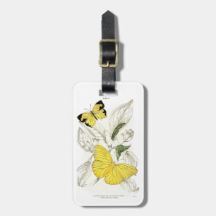 Etiqueta De Bagagem Insetos amarelos das borboletas do vintage