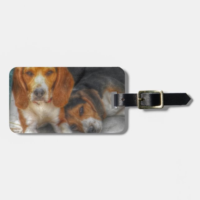Etiqueta De Bagagem Irmão Beagles (Frente Horizontal)