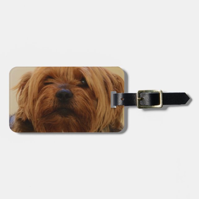 Etiqueta De Bagagem Jake O Yorkie Terrier (Frente Horizontal)