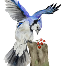 Etiqueta De Bagagem Jay azul-marinho