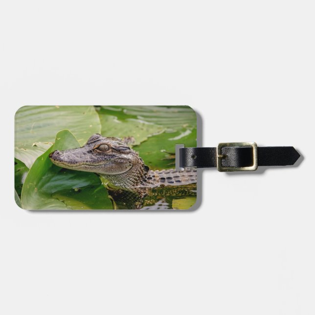 Etiqueta De Bagagem Jovem Alligator (Frente Horizontal)