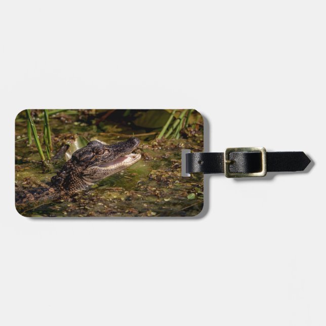 Etiqueta De Bagagem Jovem Alligator (Frente Horizontal)