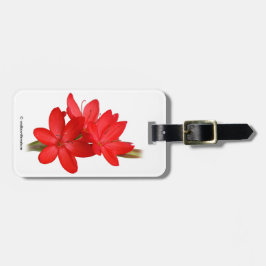 Etiqueta De Bagagem Kaffir Lily / River Lily / Hesperantha Coccinea
