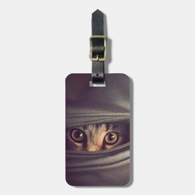 Etiqueta De Bagagem Kitten (Frente Vertical)